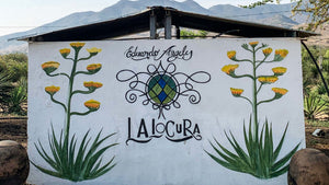 A Tour with Oaxacking: Mezcal Lalocura by Mezcal Reviews (EN)