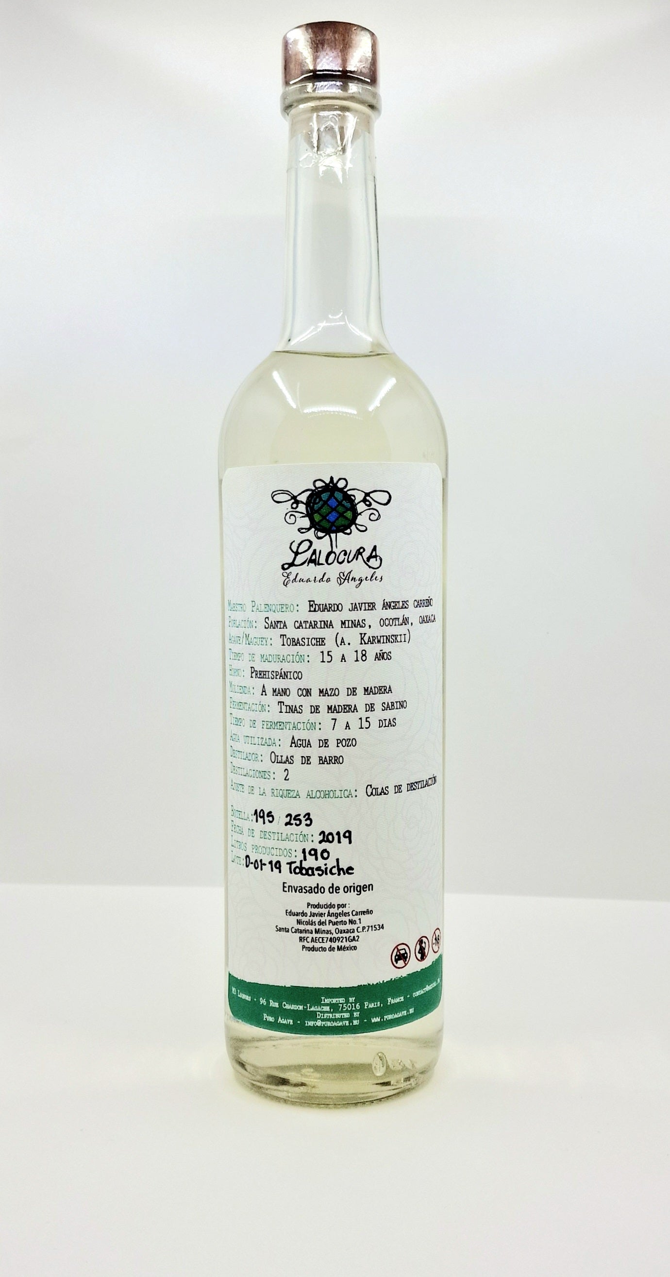 Agave Tobasiche Lalocura