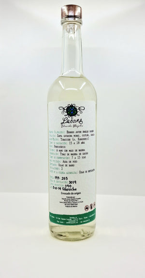 Agave Tobasiche Lalocura